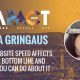 How Website Speed affects your Bottom Line and what you can do about it - Alla Gringaus